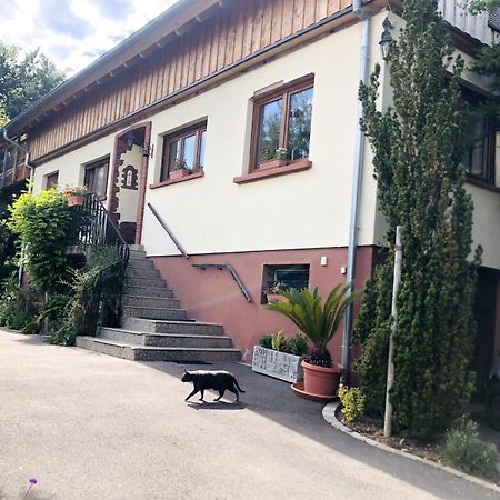 Gite Du Ried Bischwiller Kültér fotó