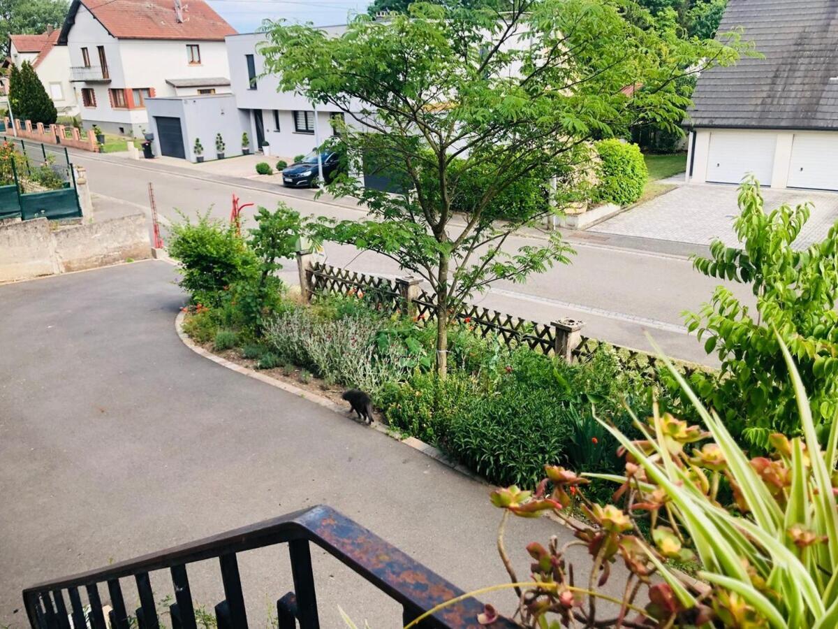 Gite Du Ried Bischwiller Kültér fotó