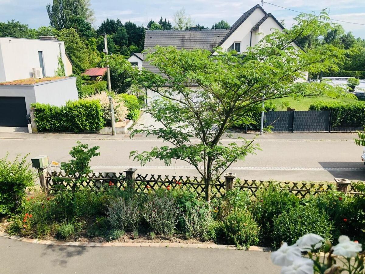 Gite Du Ried Bischwiller Kültér fotó
