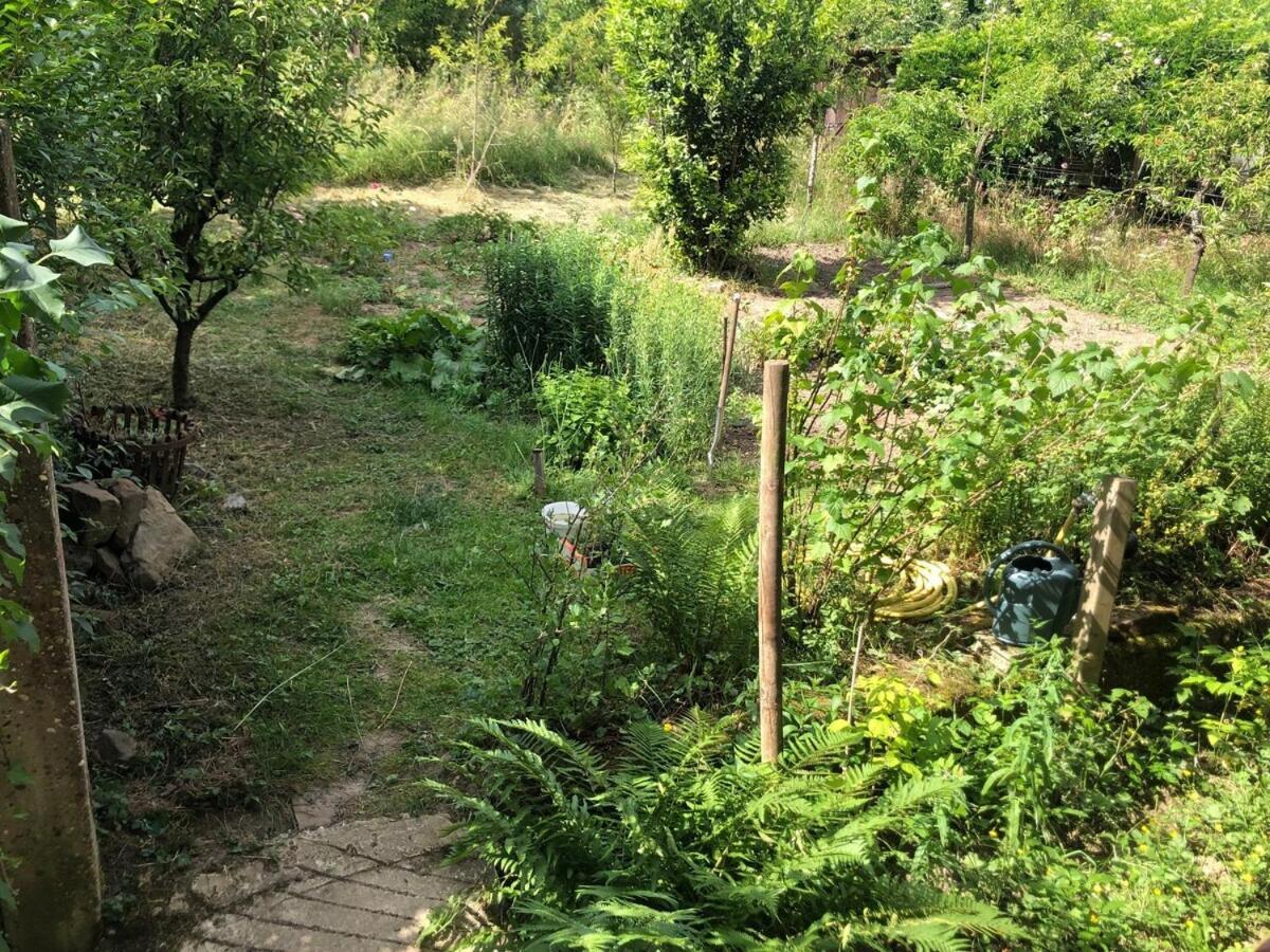 Gite Du Ried Bischwiller Kültér fotó